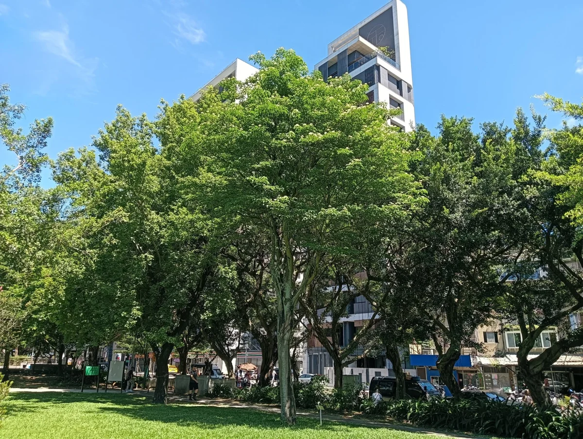 【台北中山】榮星花園迎來大變身!「水霧花園廣場」與共融遊戲場2028完工