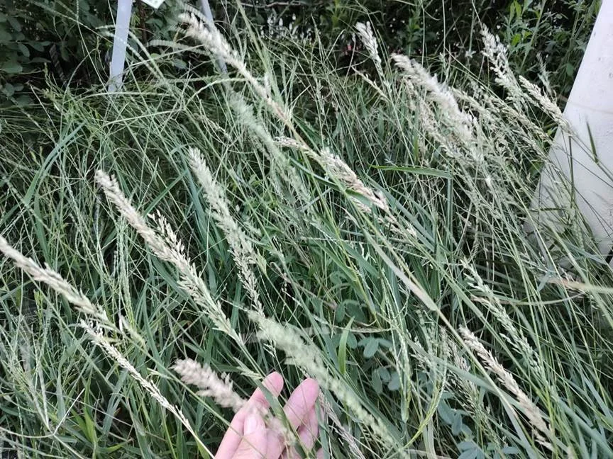圖片來源:臺北市政府