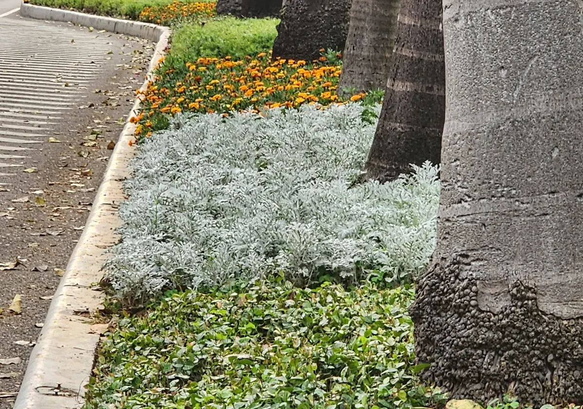 圖片來源:臺北市政府
