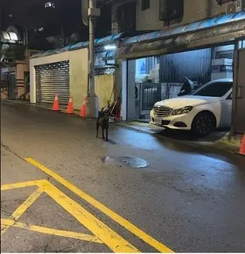 圖片來源:臺北市政府
