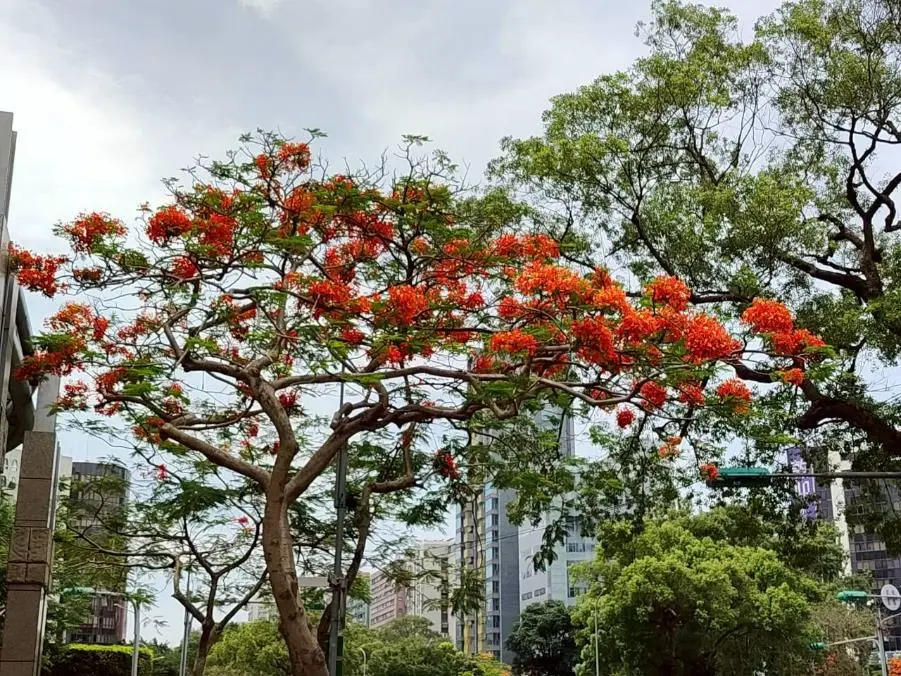 圖片來源:臺北市政府