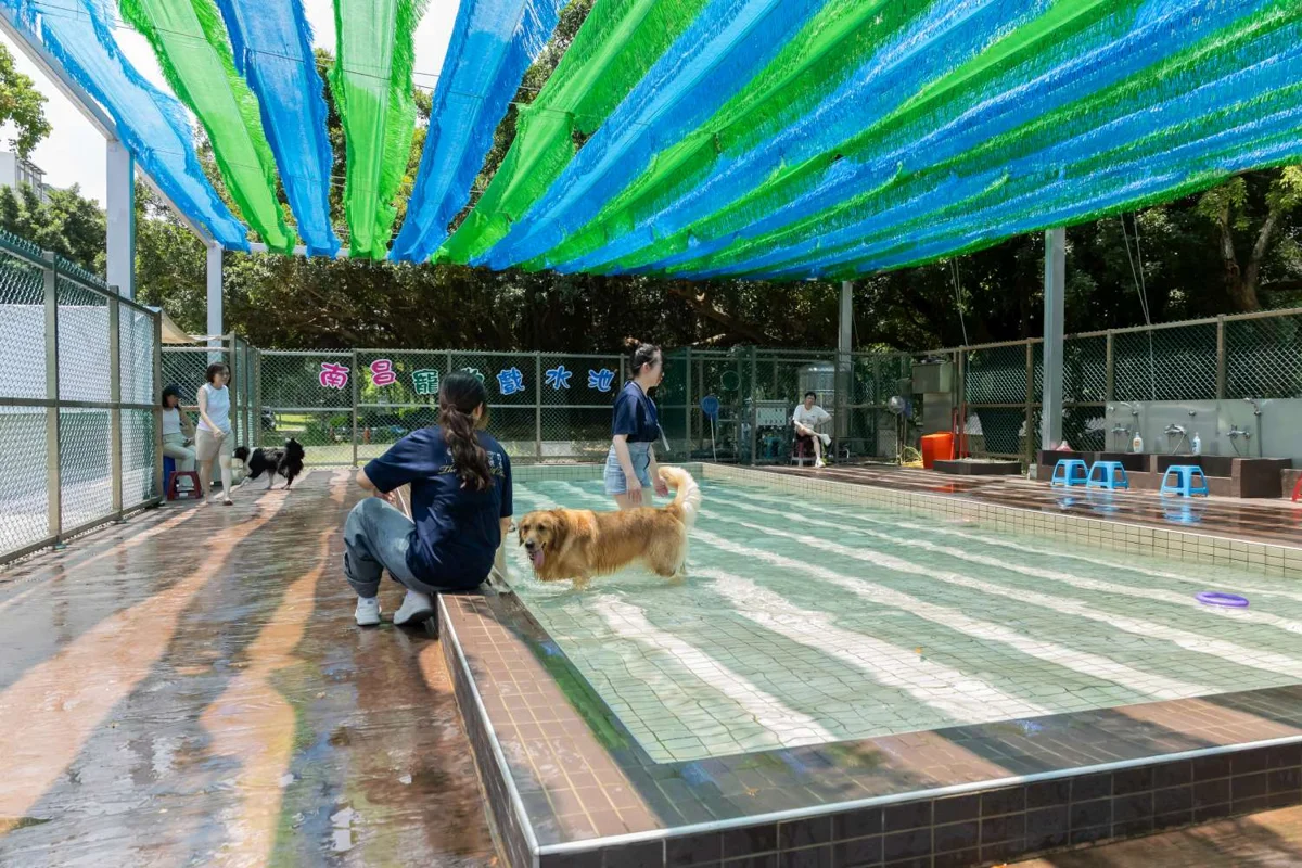 新竹毛孩有福了!南寮動保園區將建「狗狗戲水池」 首創高齡犬水中復健區