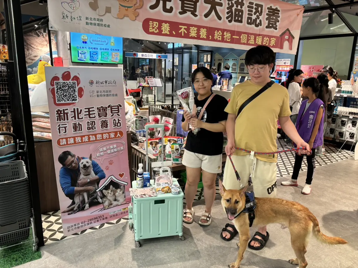 白色情人節不孤單!樹林秀泰萌寵派對明登場,4犬8貓等你帶回家