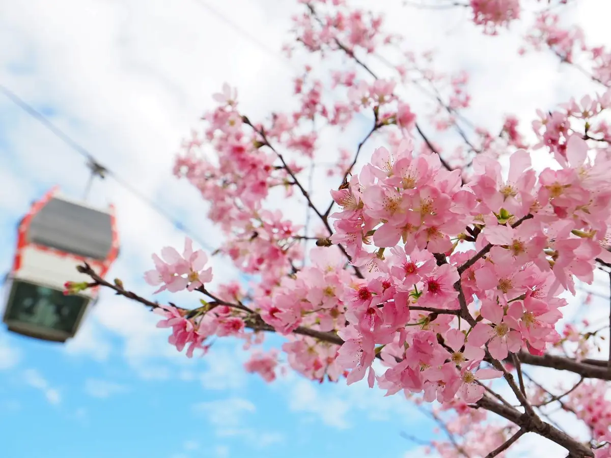 圖片來源:臺北市政府