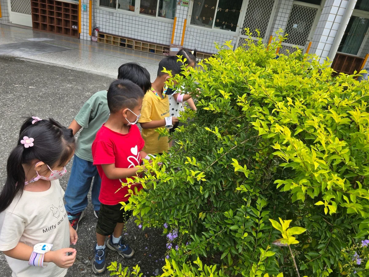 圖片來源:花蓮縣政府