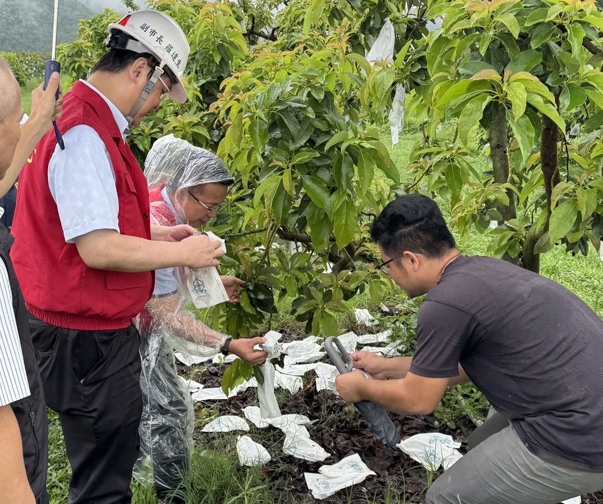 圖片來源：高雄市政府