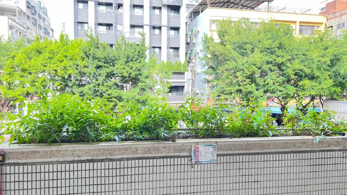 圖片來源:新竹市政府