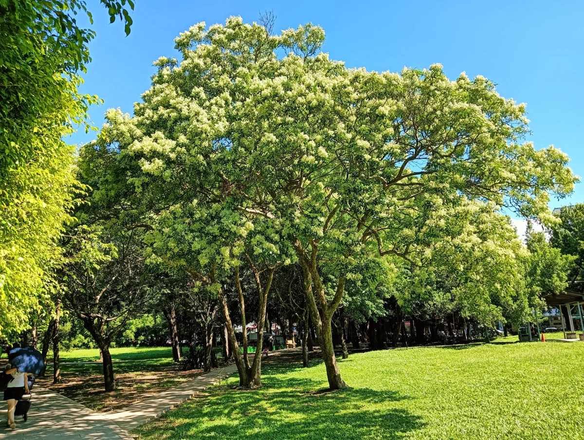 圖片來源:臺北市政府