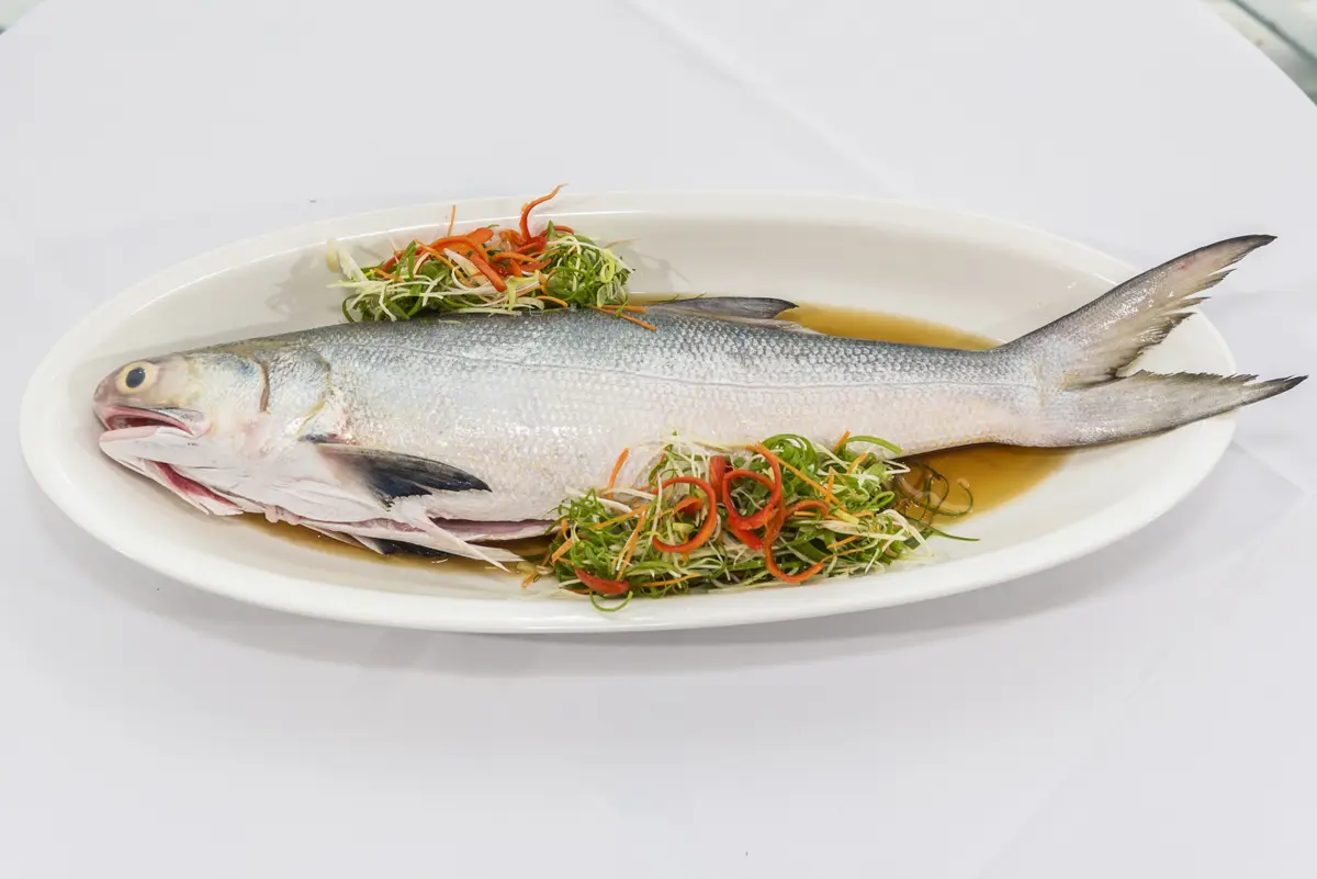 淡水午仔魚季開跑!魚藏餐廳推限定料理,老饕必嚐「一午二鯧」極鮮美味
